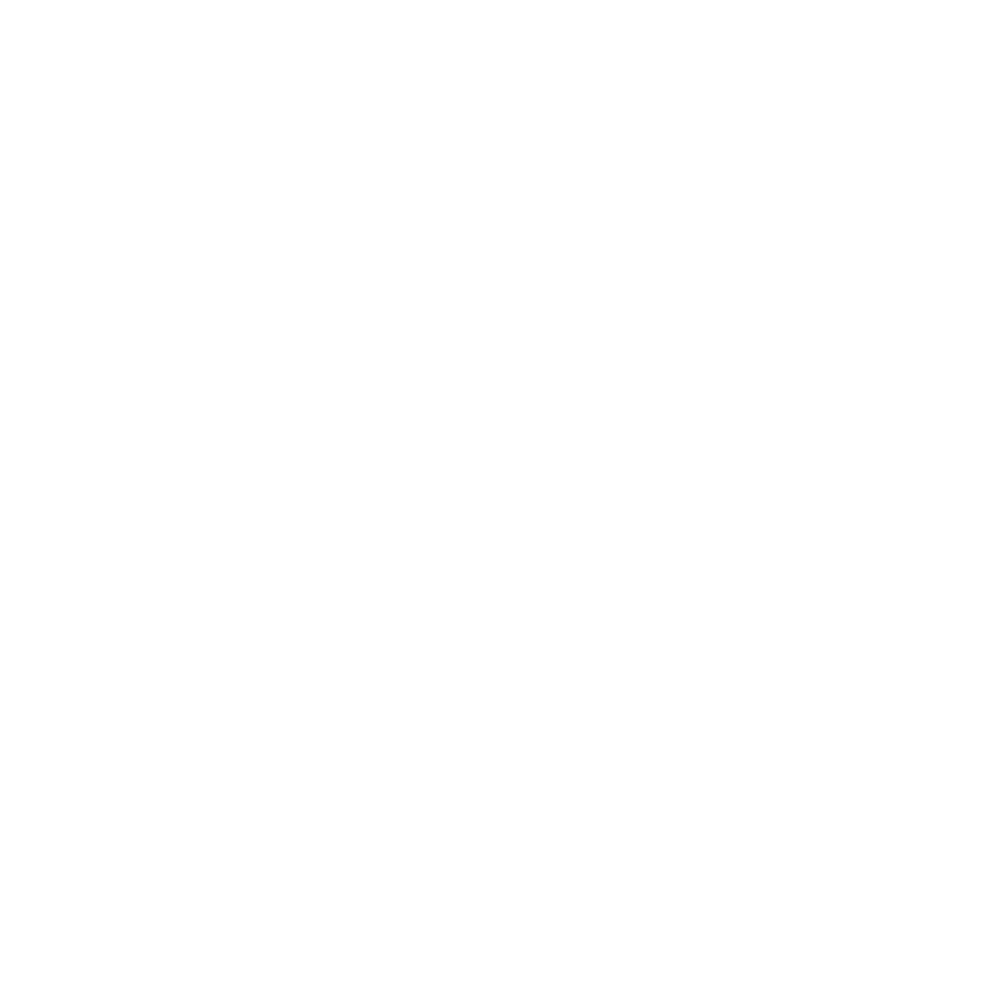 Alarcon Trading Inc.