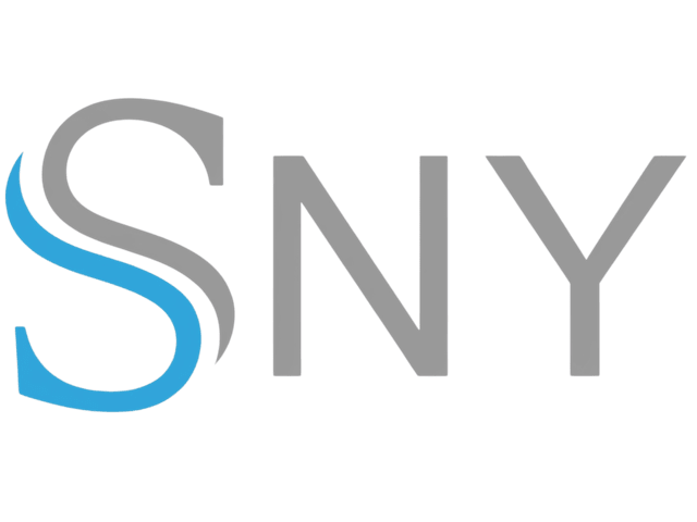 SNY Pool logosu — Arty Digital referansı