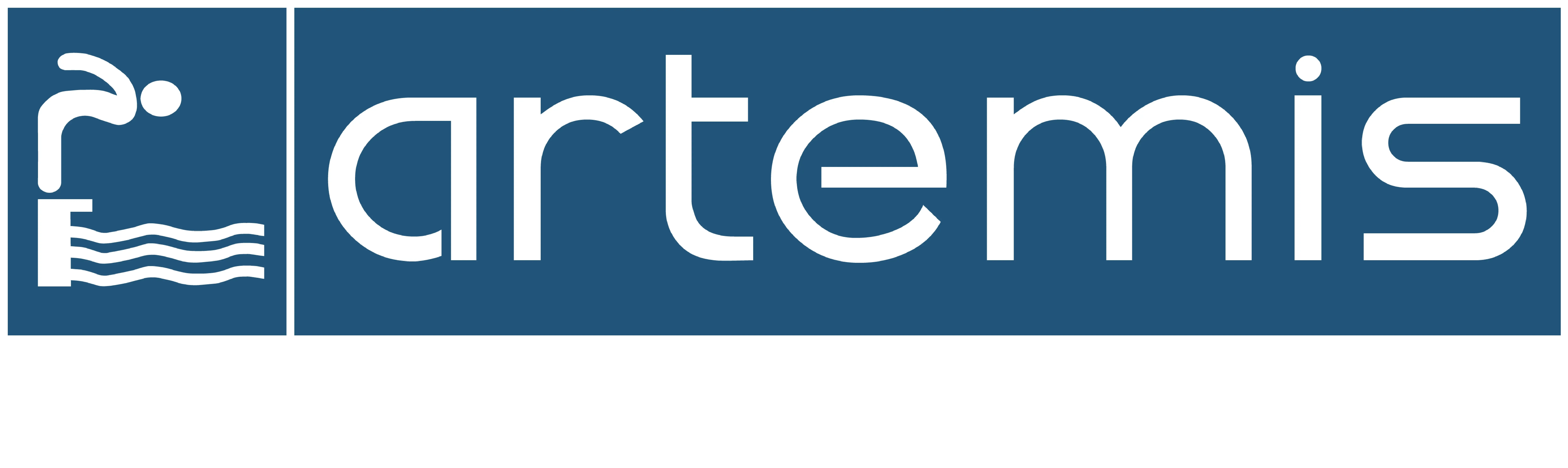 Artemis Havuzculuk logosu — Arty Digital referansı