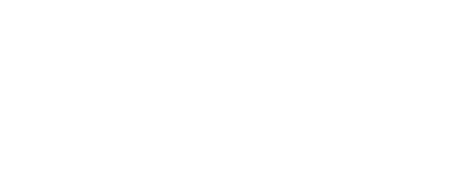 Skyview logosu — Arty Digital referansı